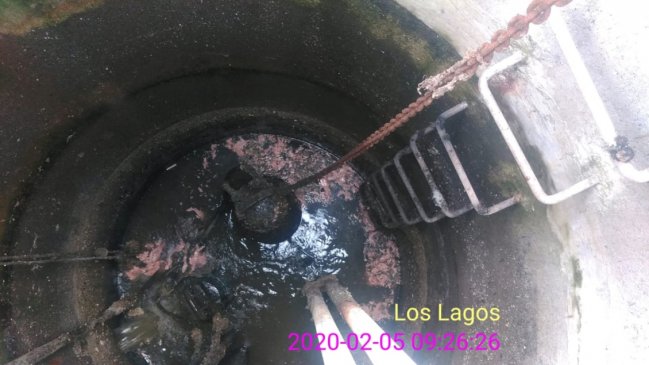 Asqueroso hallazgo: Encuentran vísceras de pescado en alcantarillado de Ancud