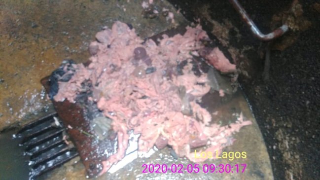 Seremi instruyó sumario sanitario contra Municipalidad de Ancud por residuos en centro de acopio