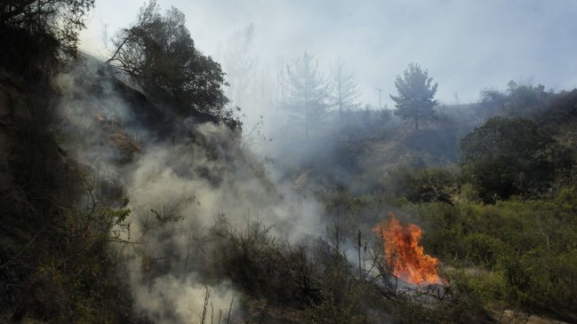 La Araucanía: Autoridades bajan alerta roja en dos comunas por incendios forestales