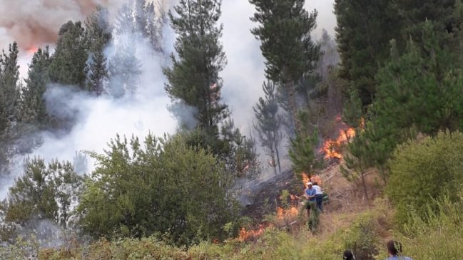 Incendio forestal en Santa Juana: Alerta baja de roja a amarilla