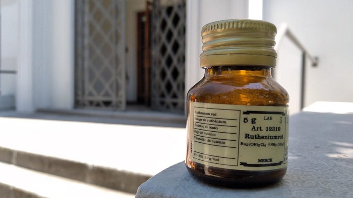 Imagen foto_00000001