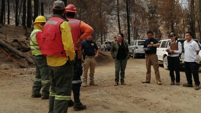 Fiscalía ordenó diligencias para dilucidar origen de incendio forestal en Molina