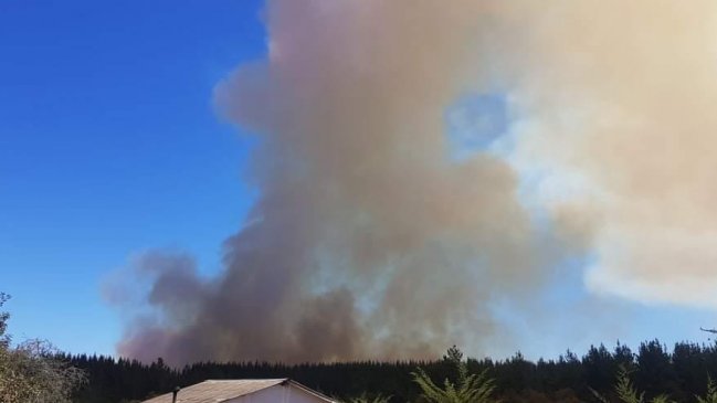 Intendencia declara alerta roja para Pichilemu por incendio forestal
