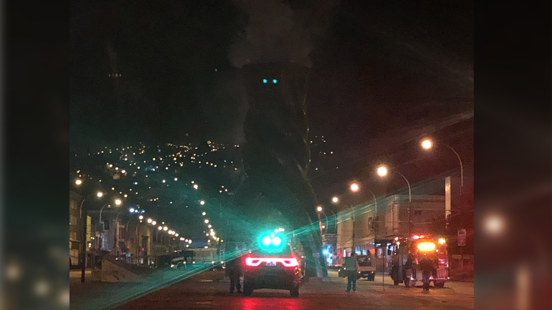 Valparaíso: Principio de incendio en monumento frente al Congreso moviliza a Bomberos
