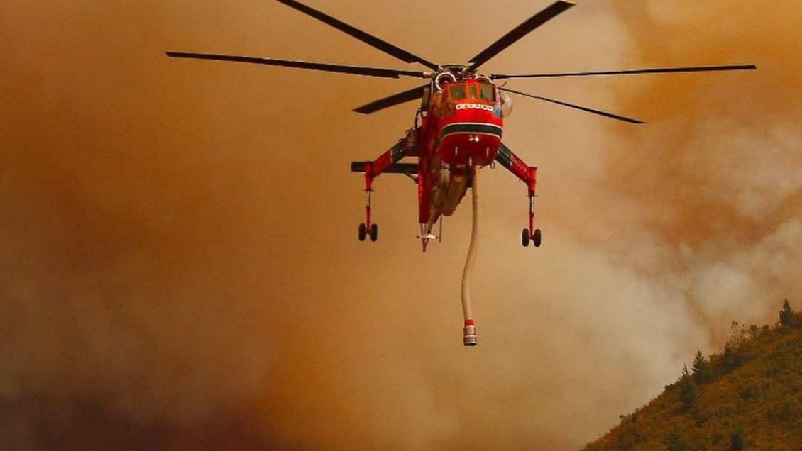 Incendio forestal obligó a suspender inicio de clases en sector de Curicó