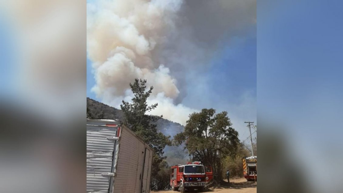 Intendencia declara alerta roja para Codegua por incendio forestal