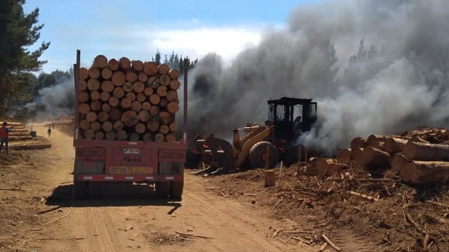 Cañete: Ataque incendiario destruyó cinco maquinarias al interior de un fundo