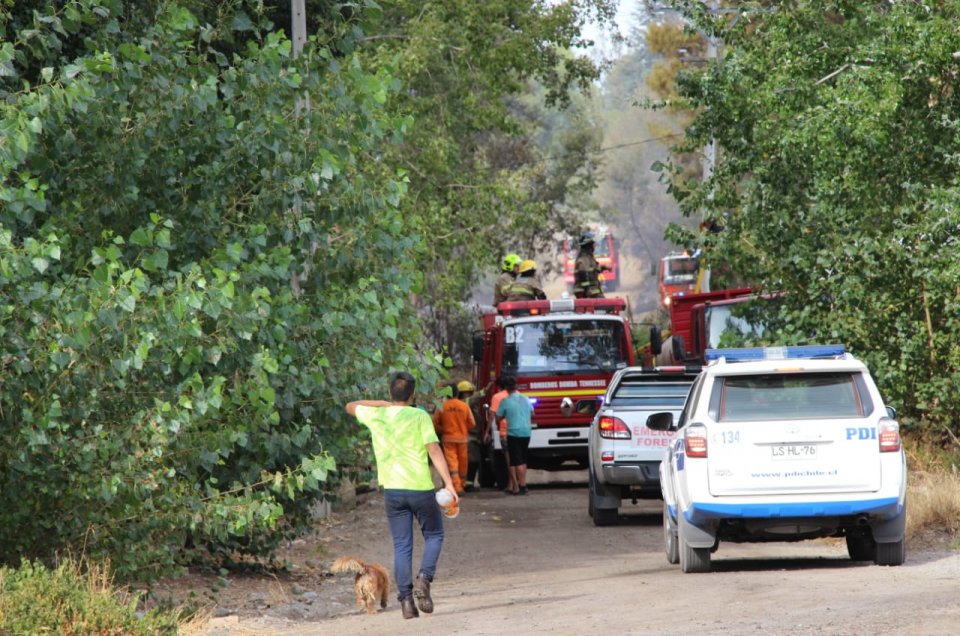 Onemi declara nueva alerta roja en Quillón por incendio de rápido avance