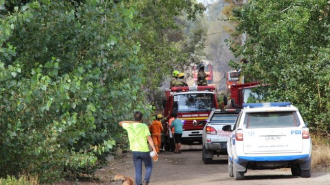 Onemi declara nueva alerta roja en Quillón por incendio de rápido avance