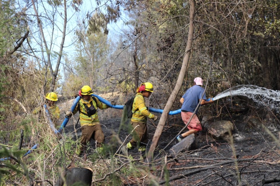 Municipio de Quillón presentó querella criminal por seguidilla de incendios forestales