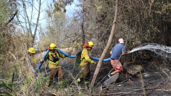 Municipio de Quillón presentó querella criminal por seguidilla de incendios forestales