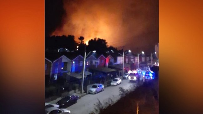 Constitución bajo alerta roja por incendio forestal que tuvo en vilo a sus vecinos
