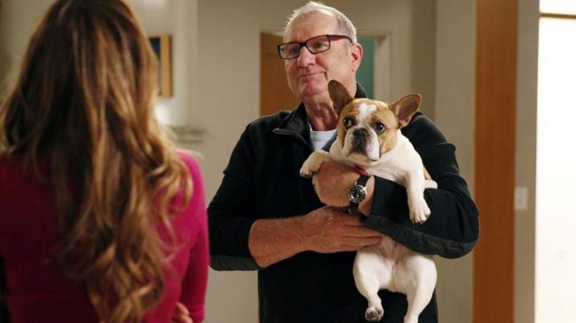 Muere querido perro de la serie 