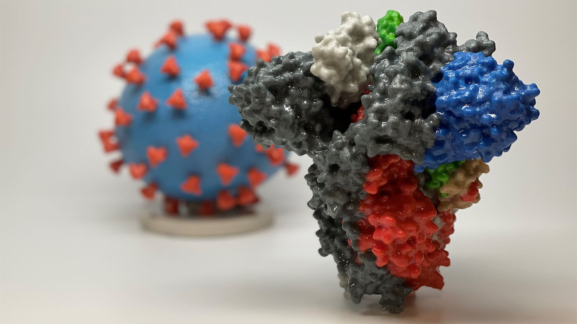 EEUU: Comienzan a probar en humanos una vacuna contra el coronavirus