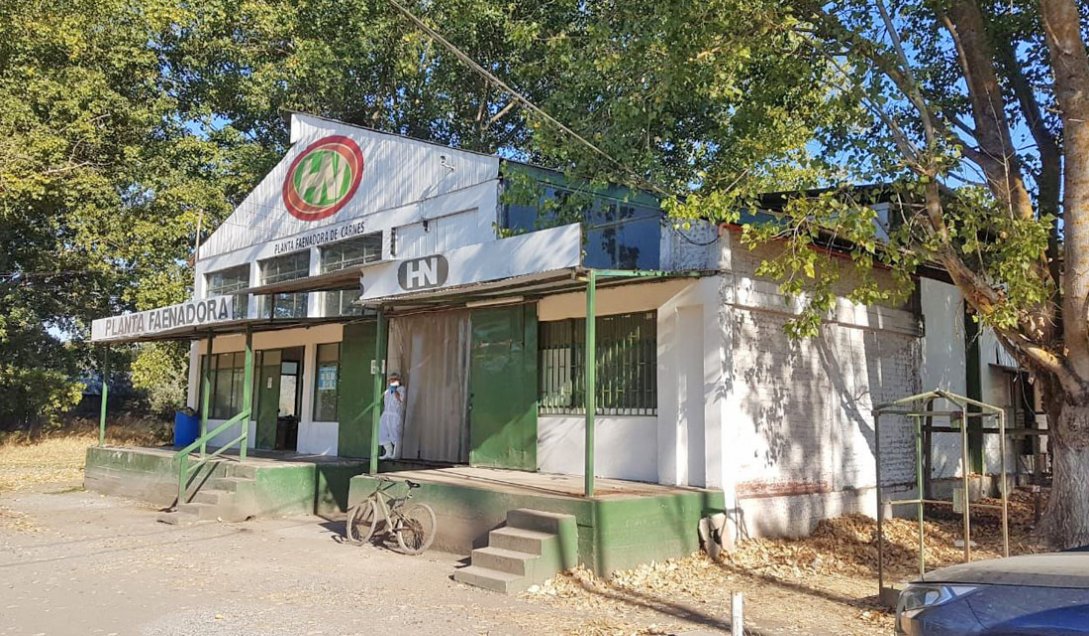 San Carlos: Superintendencia formula cargos contra faenadora de cerdos por irregularidades