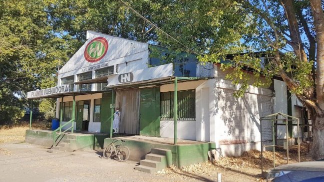 San Carlos: Superintendencia formula cargos contra faenadora de cerdos por irregularidades