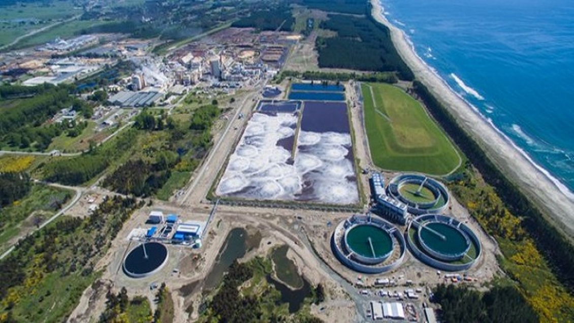 Arauco paralizó su megaproyecto MAPA tras protestas de trabajadores