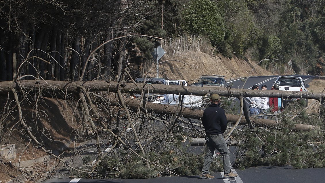 Intendente del Biobío: Las barreras sanitarias comunales son una irresponsabilidad