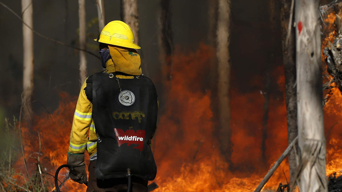 Incendios forestales consumen cerca de 3 mil hectáreas en La Araucanía: Hay dos comunas con alerta roja