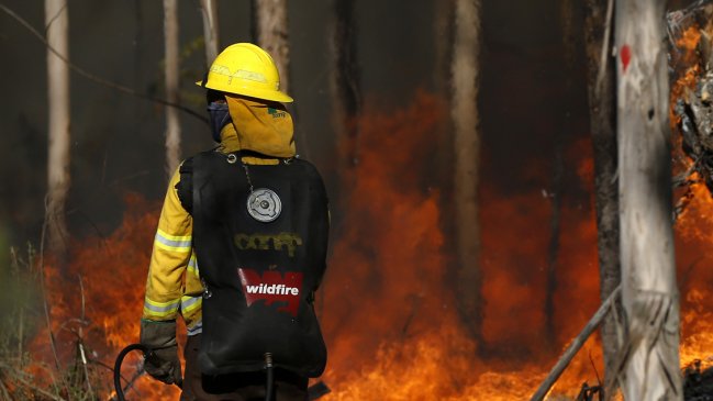 Incendios forestales consumen cerca de 3 mil hectáreas en La Araucanía: Hay dos comunas con alerta roja