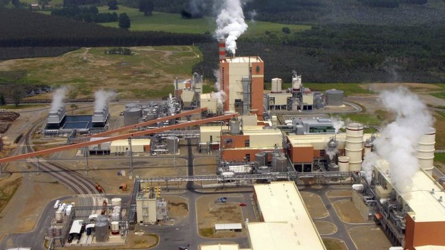 Empresa Arauco paraliza operaciones en complejo Horcones tras caso de coronavirus