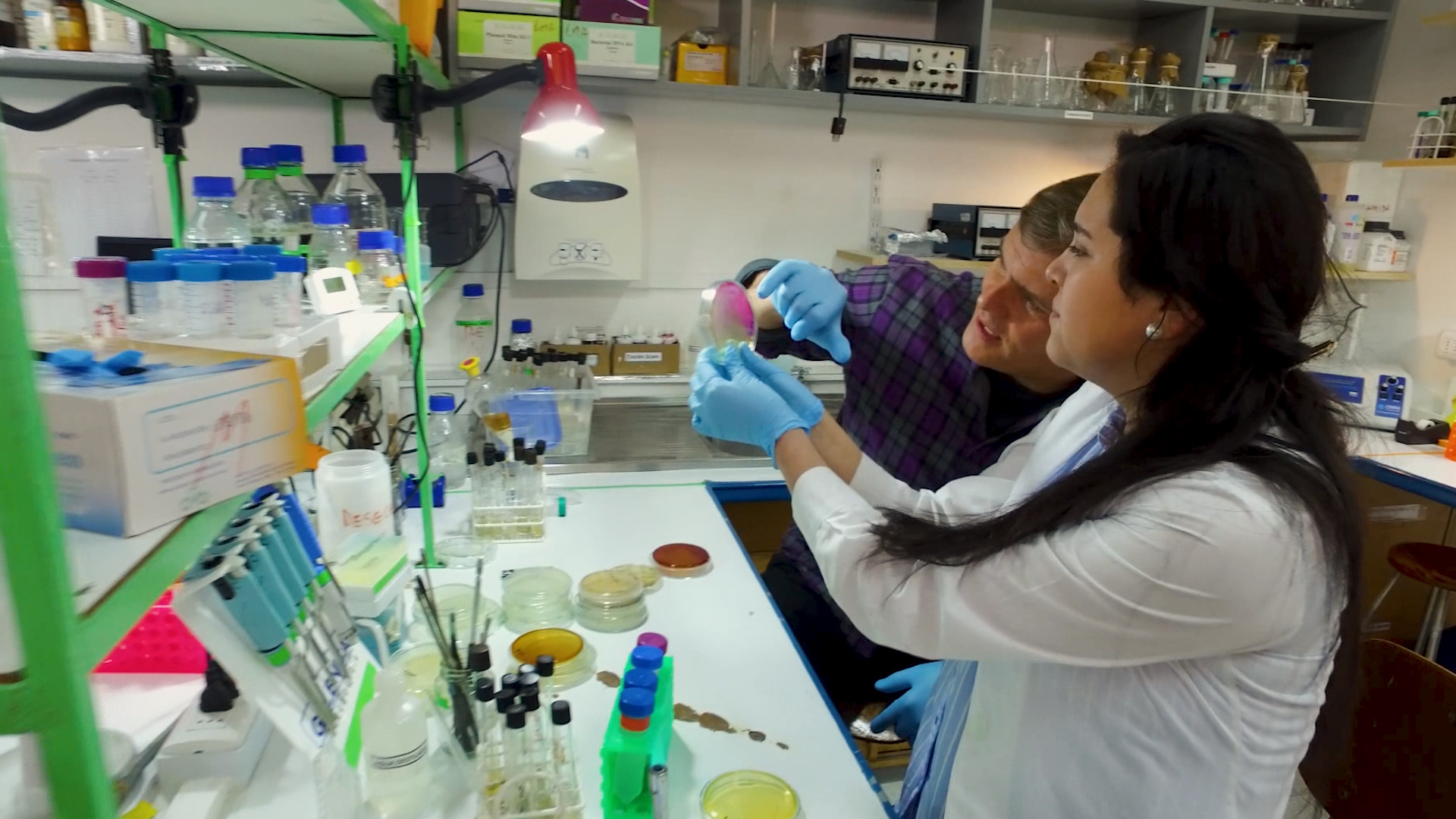 Imagen foto_00000002