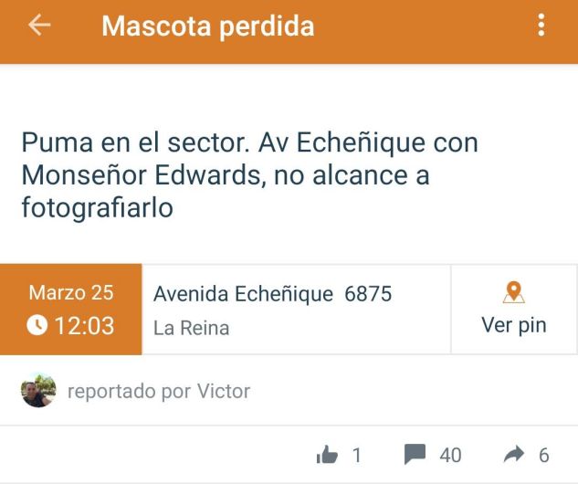 Imagen foto_00000017