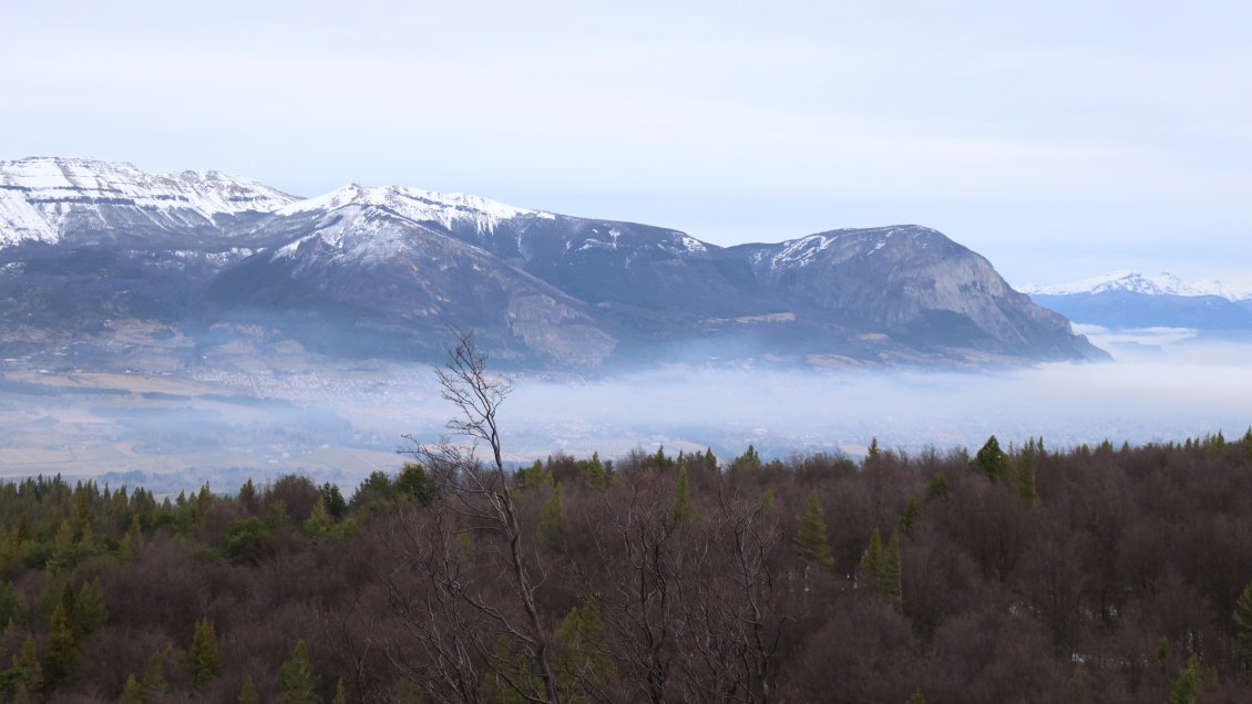 Comienza periodo de Gestión de Episodios Críticos en Coyhaique en medio de la crisis por Covid-19
