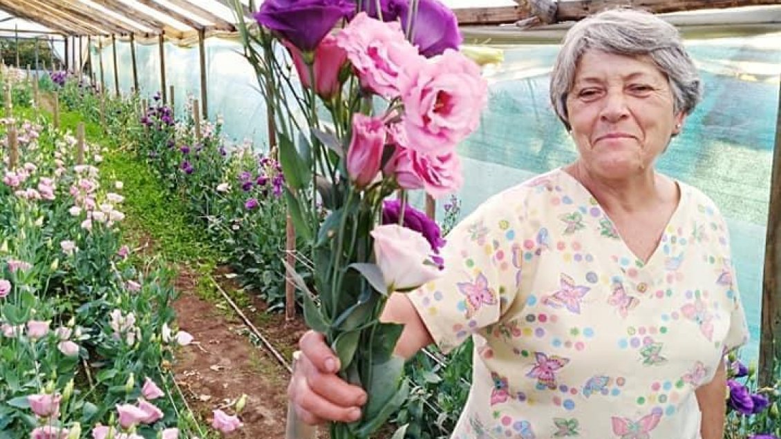 Emprendedores de El Maule reinventan sus negocios a través de redes sociales