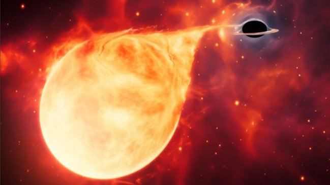 Científicos descubrieron el 