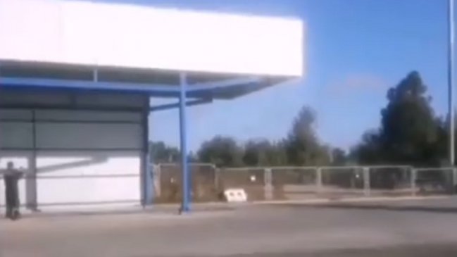 Mecánico intentó domar a ciervo que ingresó a planta de revisión técnica, pero no pudo