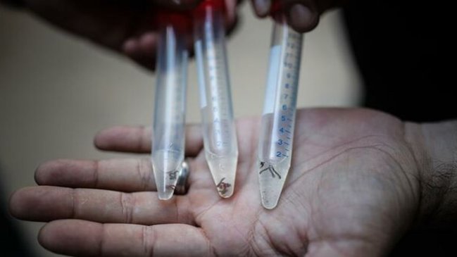 Peor epidemia de dengue en tres años deja 7.862 casos en Argentina  