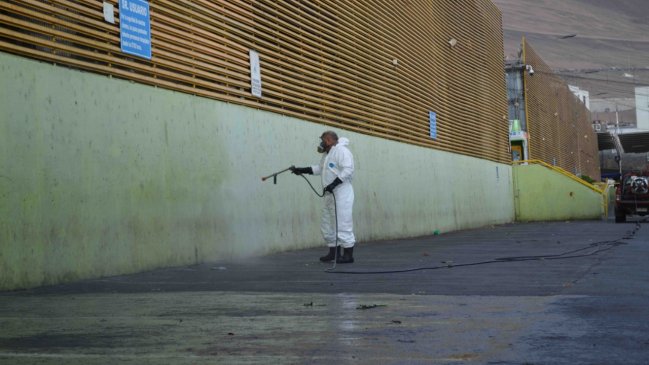 SAG sanitizó Terminal Agropecuario de Iquique