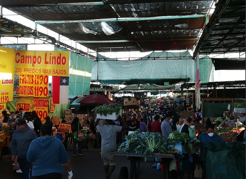 Gobierno Regional decretó el cierre de la Vega Central de Antofagasta