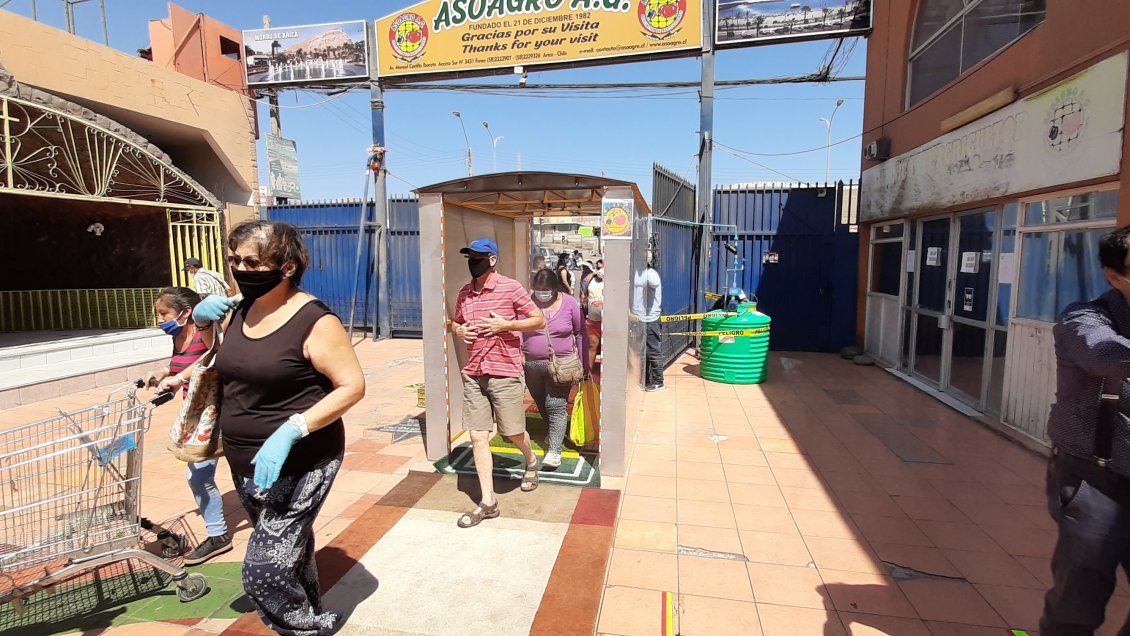 Terminal Asoagro contará con túnel sanitario en Arica