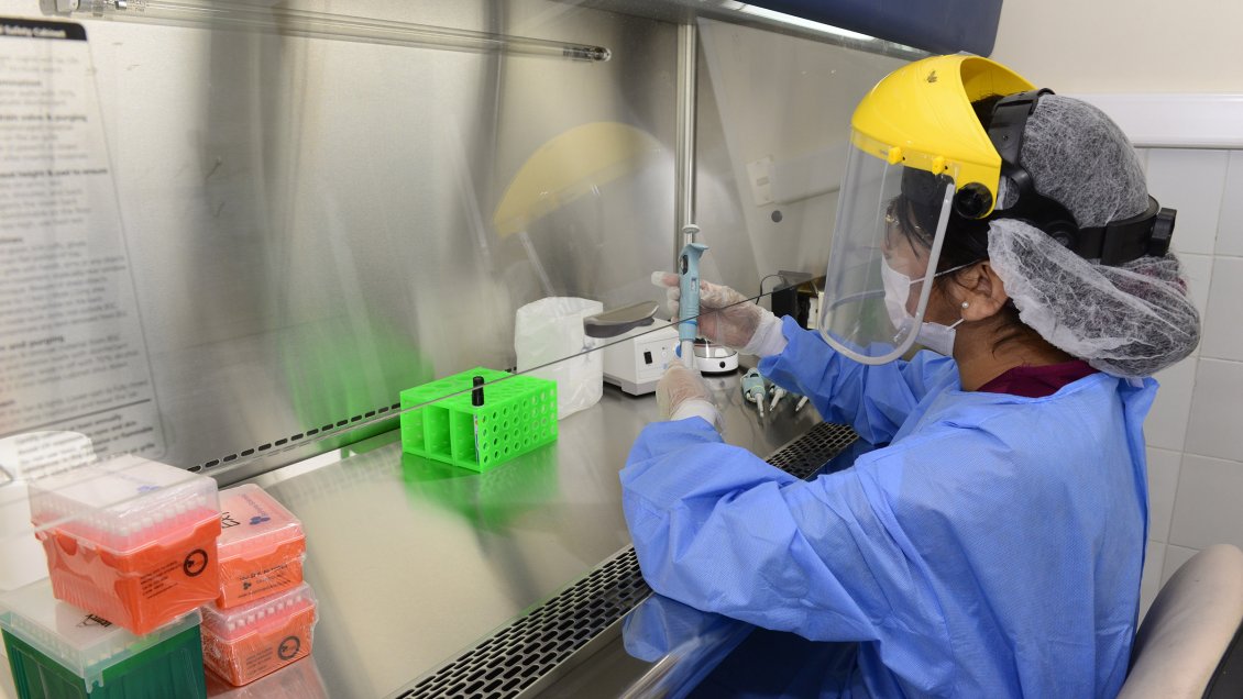 Comienzan a realizar los primeros exámenes de Covid-19 en Iquique