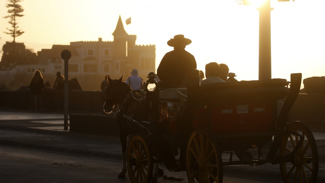 Reginato pidió paralizar funcionamiento de coches victorias en Viña del Mar por Covid-19