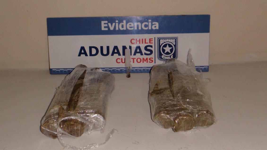 Viajero con rumbo a Antofagasta fue interceptado con marihuana adosada a su cuerpo