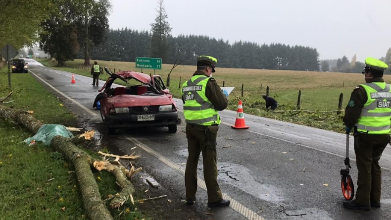 Rama de árbol aplastó a auto y dejó un muerto en Los Ríos
