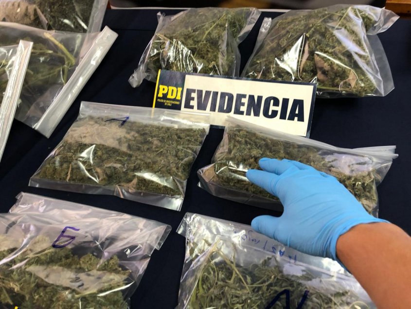 PDI detiene a sujeto por microtráfico y decomisa tres kilos de cannabis sativa en Quillón