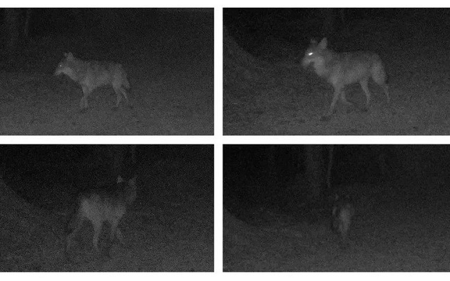 Imagen foto_00000001