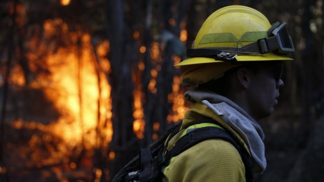 Vichuquén: Alerta roja por incendio cerca de sectores habitados