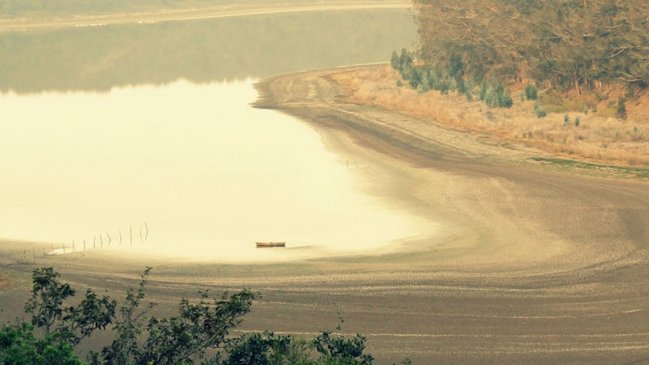 Plantaciones forestales han alterado el ciclo de nitrógeno en la costa de Chile más que el cambio climático