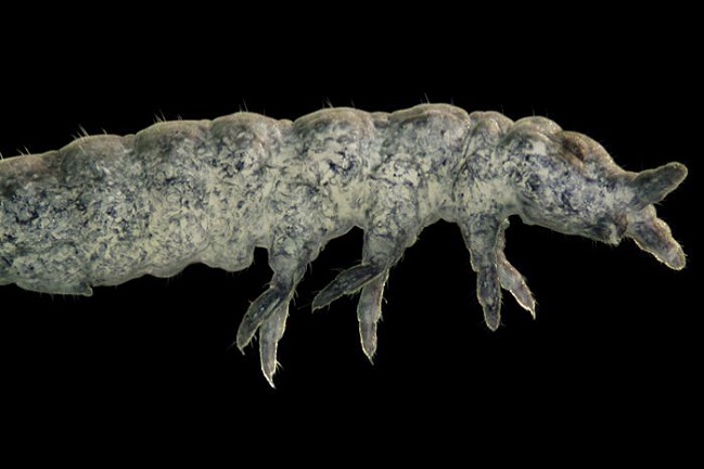 Imagen foto_00000002