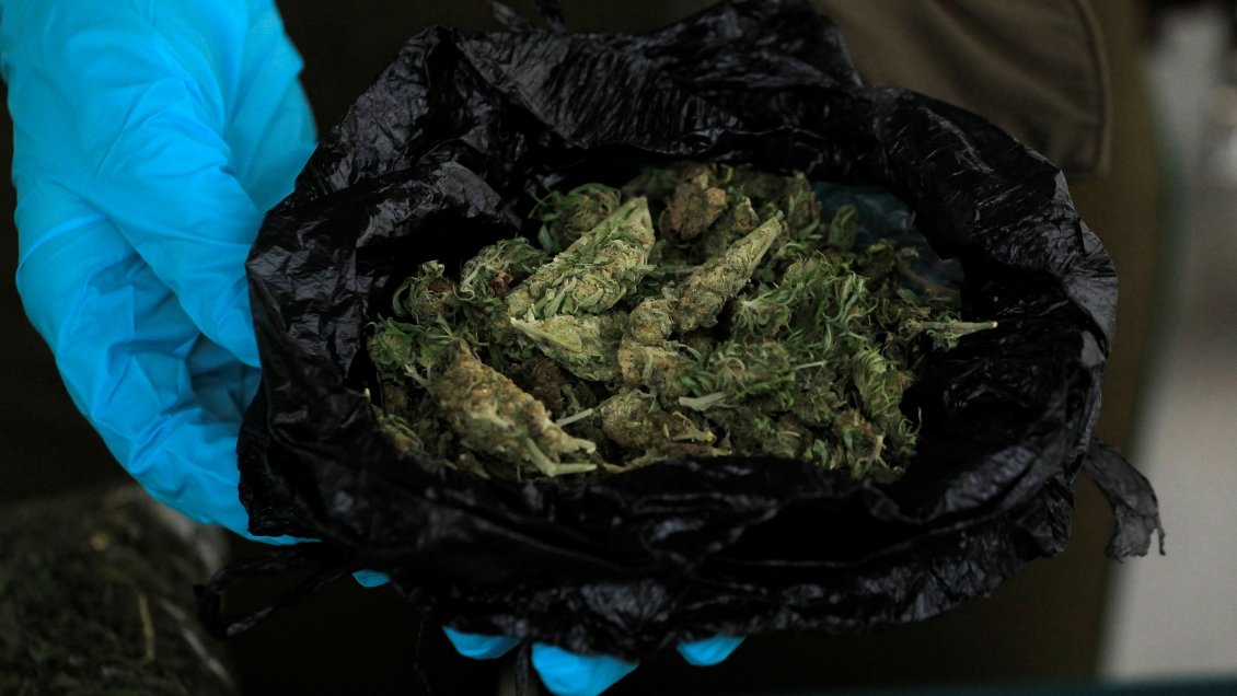 Nueva Zelanda votará sobre legalización de marihuana recreativa