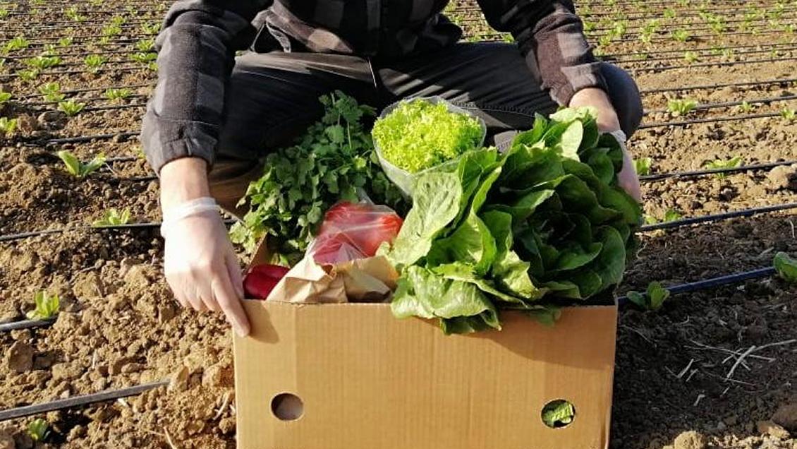 Mercados Campesinos Online: La guía para comprar a familias de productores agrícolas