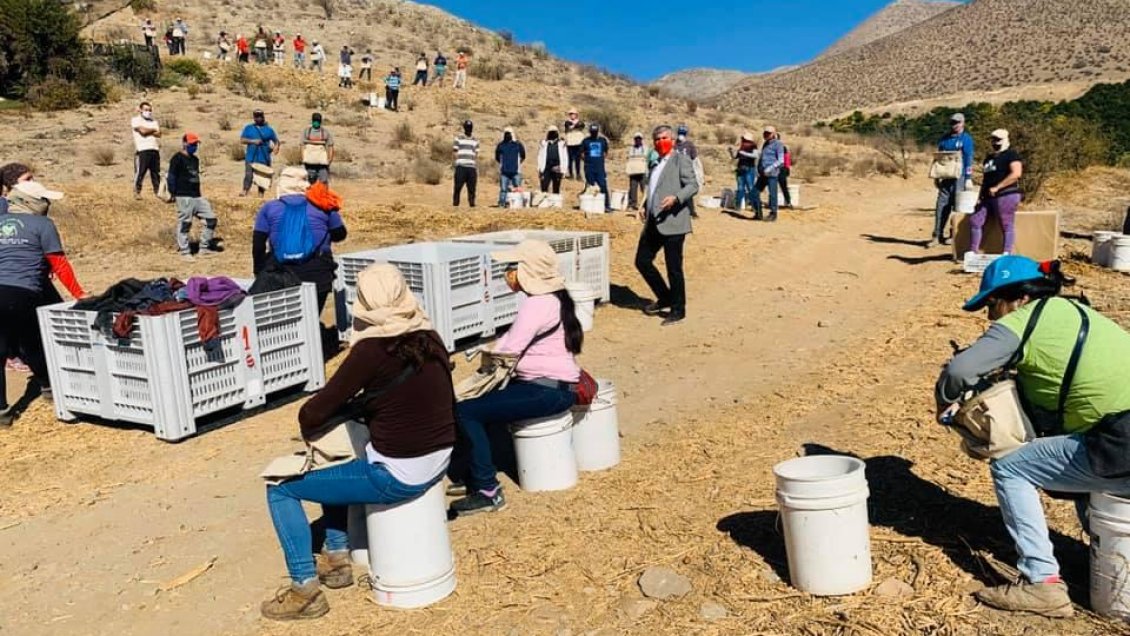 Vicuña endurece medidas contra el Covid-19