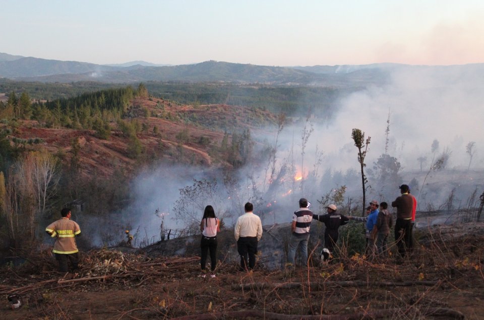 Investigan origen de incendio forestal que puso en riesgo a viviendas en Trehuaco