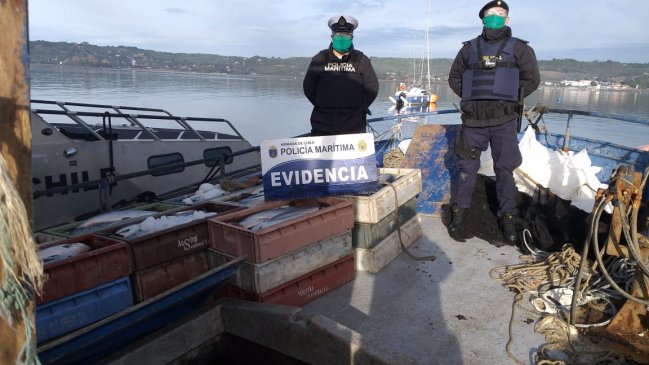 Siete personas fueron sorprendidas robando salmones desde un centro de cultivo
