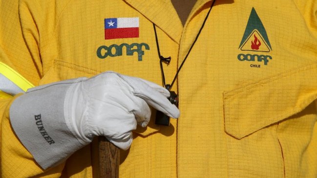 Ocho trabajadores de Conaf fueron acusados de abusar sexualmente de una mujer en Ancud